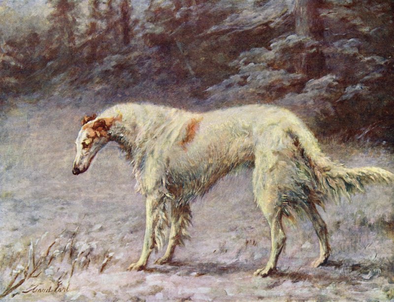 Mestari Ivan Turgeneff tekijältä Maud Earl