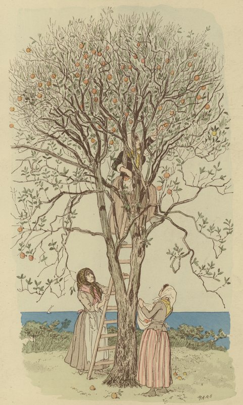Appelsiinien poimiminen Välimerellä (väri litho) tekijältä Maurice Charles Mathieu Bonvoisin