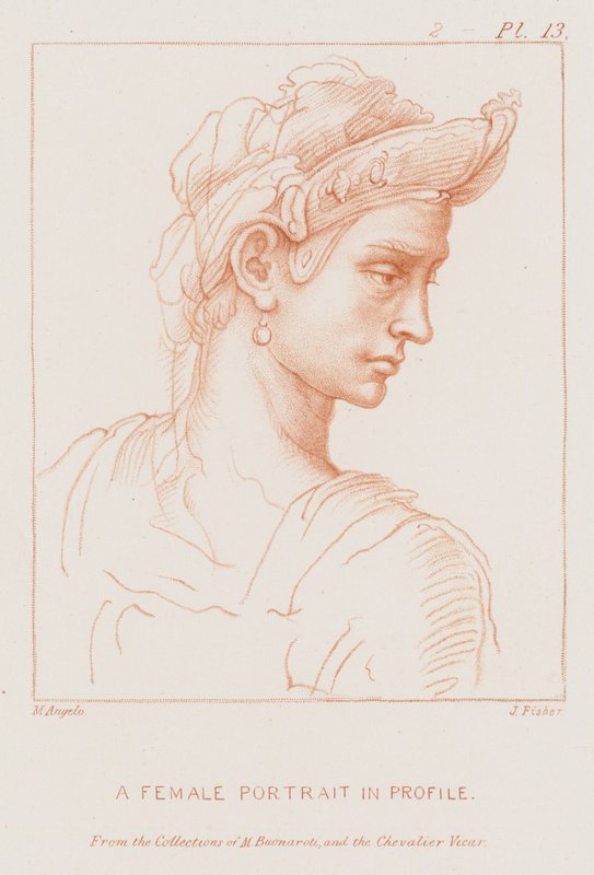 Naisen muotokuva profiilissa tekijältä Michelangelo Buonarroti
