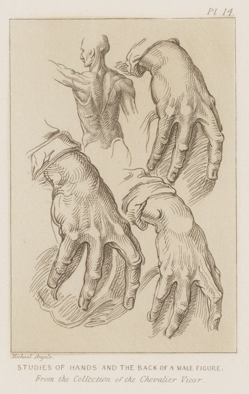 Mieshahmon käsien ja selän tutkimukset (etsaus) tekijältä Michelangelo (after) Buonarroti
