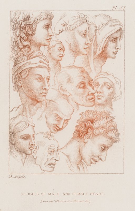 Miesten ja naisten päiden tutkimukset (etsaus) tekijältä Michelangelo (after) Buonarroti