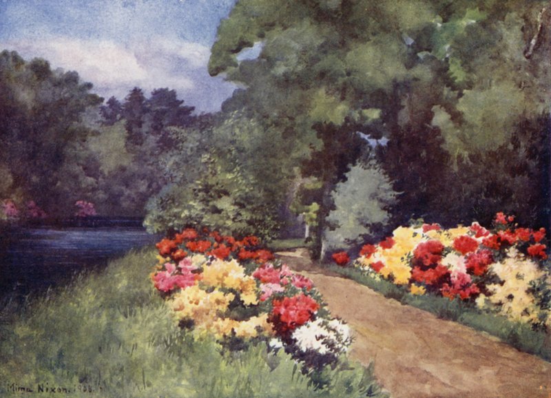 Azaleat, Het Loo (väri litho) tekijältä Mima Nixon