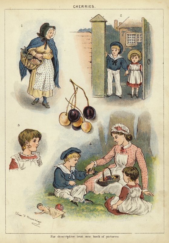 Kirsikat (chromolitho) tekijältä Miss Eliza F. Manning