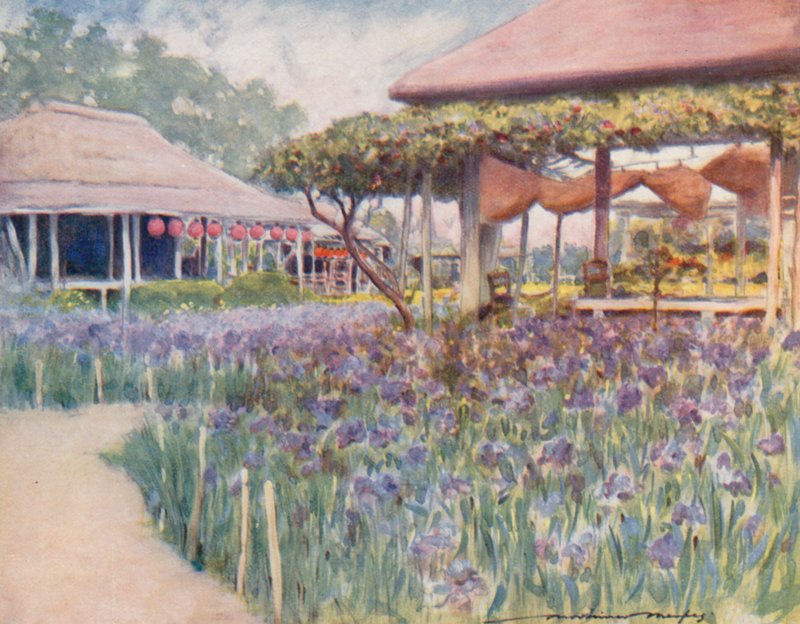Iris-puutarha tekijältä Mortimer Ludington Menpes