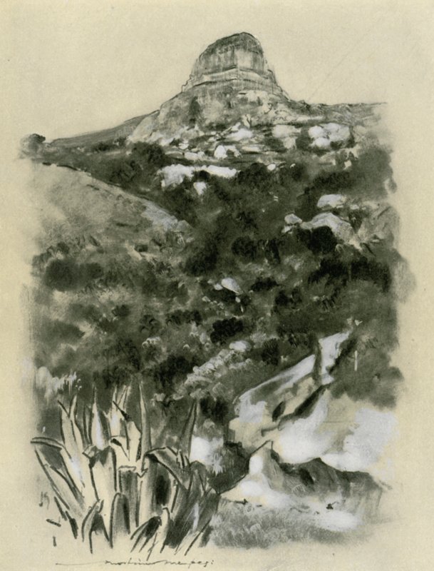 Bloemfontein tekijältä Mortimer Ludington Menpes
