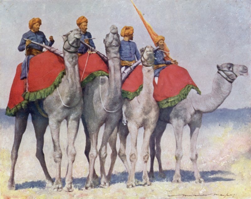 Camelry Alwarista tekijältä Mortimer Ludington Menpes