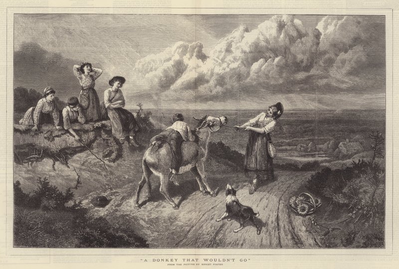 Aasi, joka ei menisi tekijältä Myles Birket Foster