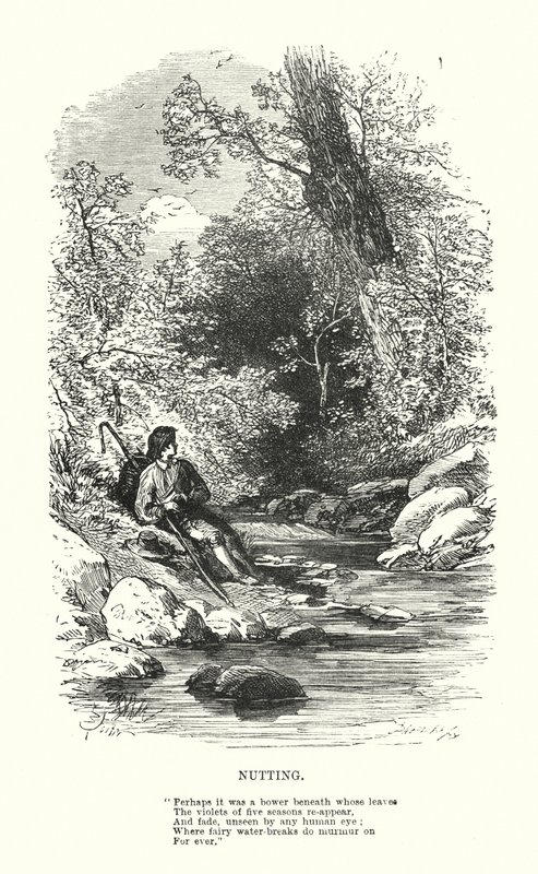William Wordsworth: Pähkinä (kaiverrus) tekijältä Myles Birket (after) Foster