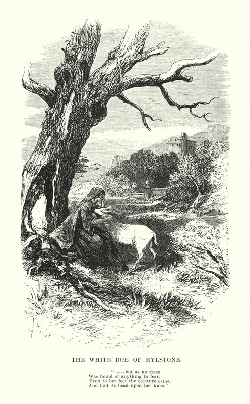 William Wordsworth: Rylstonen valkoinen hirvi (kaiverrus) tekijältä Myles Birket (after) Foster