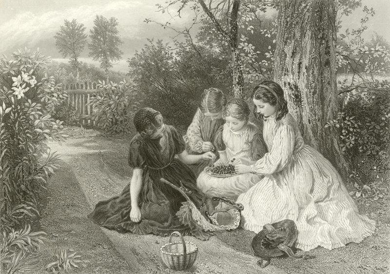Kirsikoiden juhla tekijältä Myles Birket Foster
