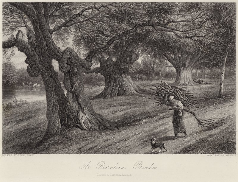 Burnham Beechesissä tekijältä Myles Birket Foster