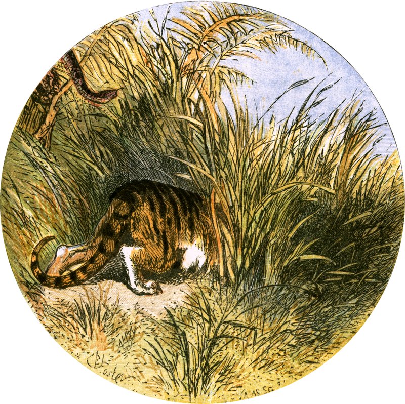 Kuvitus "Autioitu kylä" tekijältä Myles Birket Foster