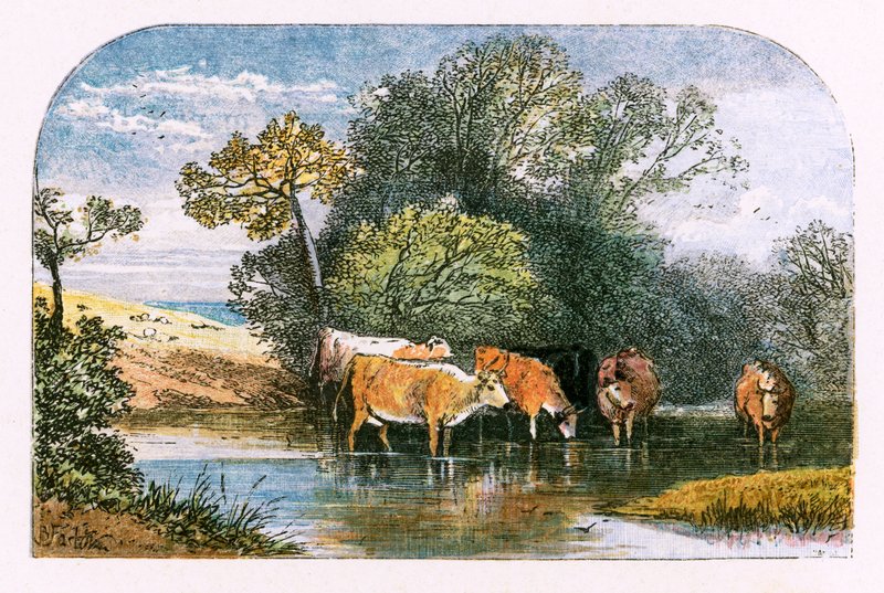 Kuvitus "Autioitu kylä" tekijältä Myles Birket Foster