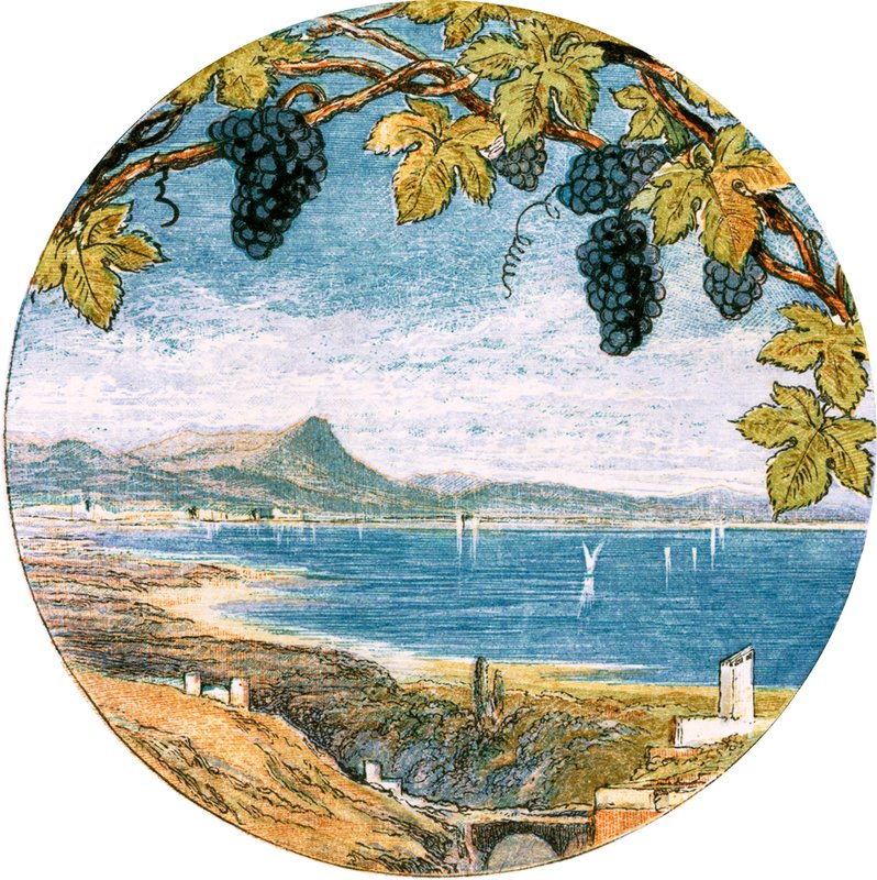 Kuvitus "Matkustajalle" tekijältä Myles Birket Foster