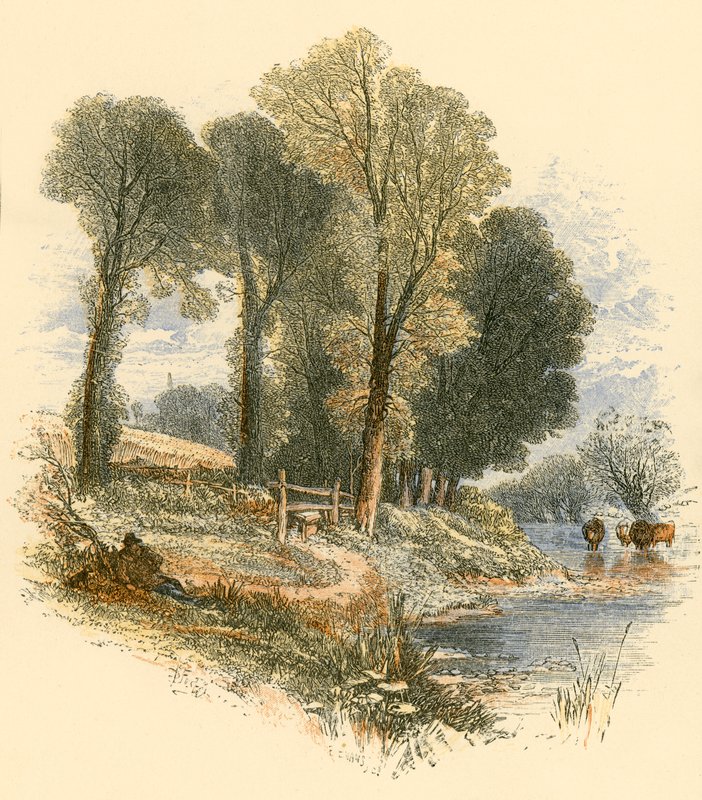 Sunnuntai Kävelyt tekijältä Myles Birket Foster