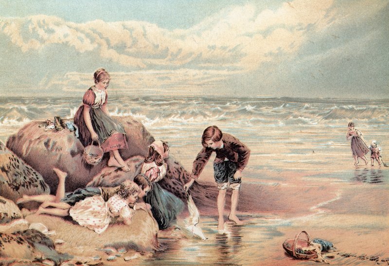 Kuolleenmeren lintu tekijältä Myles Birket Foster