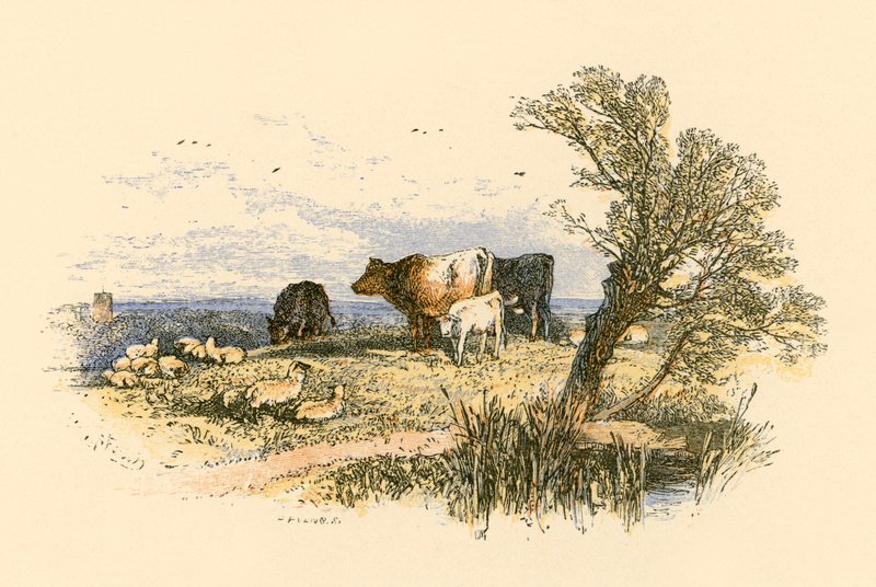 Kirkon kellot tekijältä Myles Birket Foster