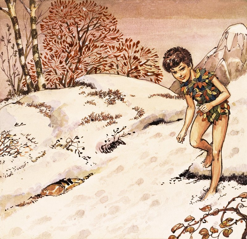 Peter Pan tekijältä Nadir Quinto