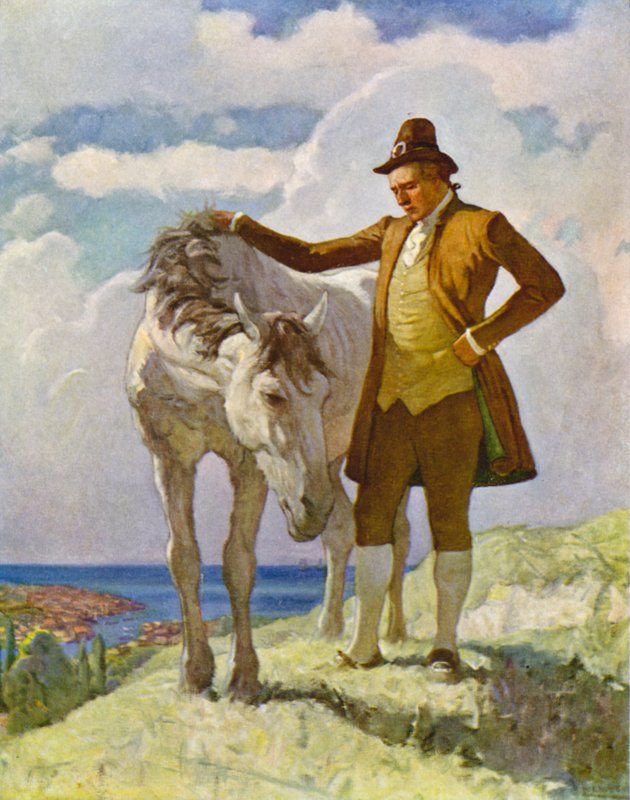 Sir Nat ja hevonen tekijältä Newell Convers Wyeth