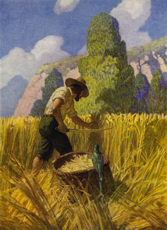 Kuvitus Robinson Crusoelle (väri litho) tekijältä Newell Convers (after) Wyeth