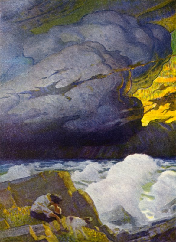 Kuvitus Robinson Crusoelle (väri litho) tekijältä Newell Convers (after) Wyeth