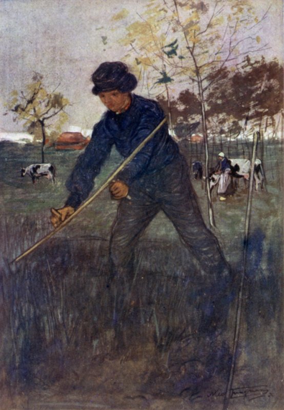 Ruohonleikkuri (väri litho) tekijältä Nico Jungman