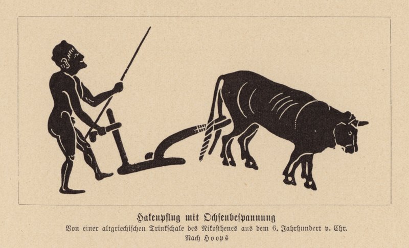 Antiikin Kreikan härkävetoinen aura (litografia) tekijältä Nikosthenes