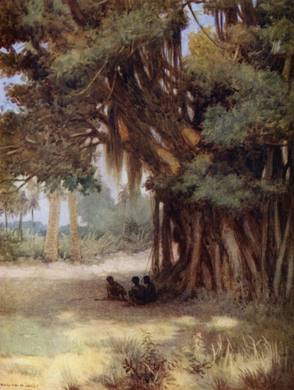 Banyan-puun alla, Malekulan saari, Uudet Hebridit (värilitho) tekijältä Norman Hardy