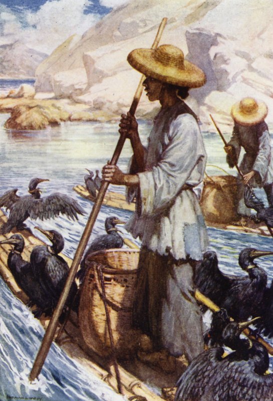 Kiina: kalastus merimetsoilla (väri litho) tekijältä Norman Hardy