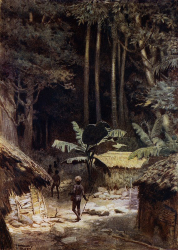 Alkuaikaisen metsän reunalla, Salomonsaaret (väri litho) tekijältä Norman Hardy