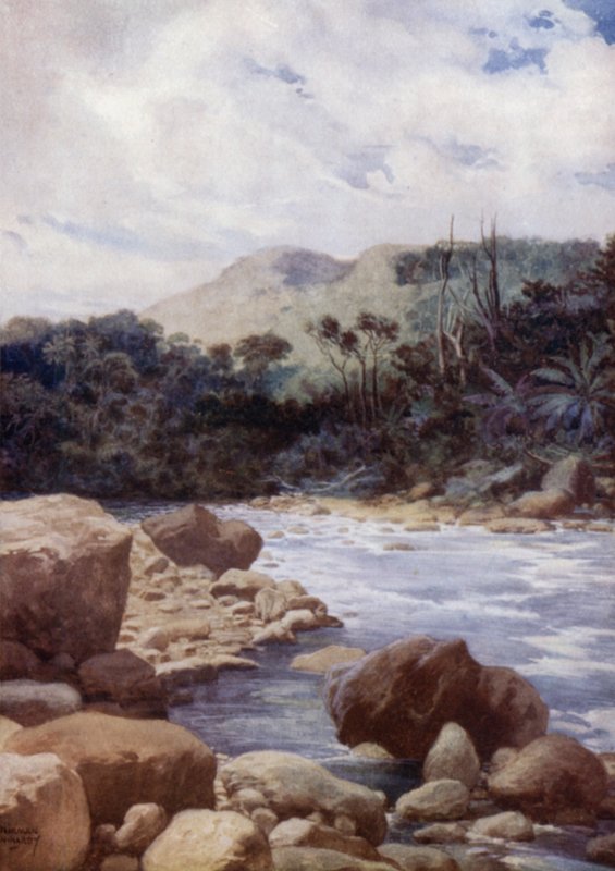 The Rapids, Williams River, Eromangan saari, Uudet Hebridit (väri litho) tekijältä Norman Hardy