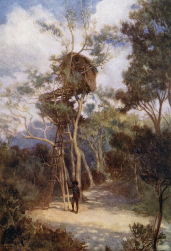 Tree House Brittiläisessä Uudessa-Guineassa (väri litho) tekijältä Norman Hardy