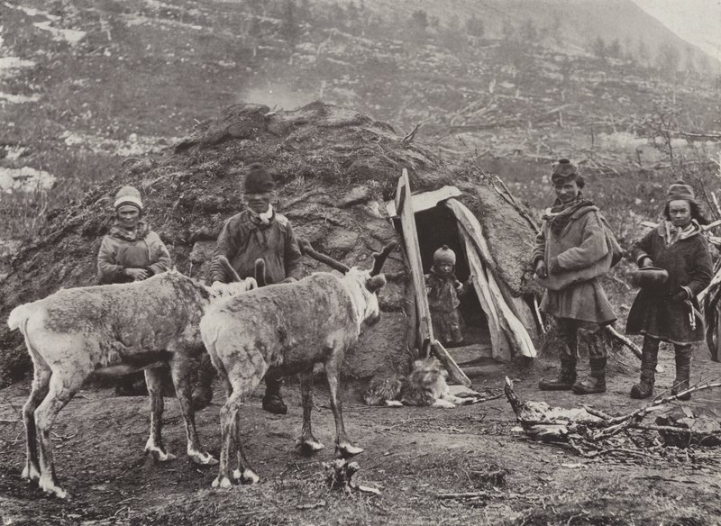 Lapin perhe tekijältä Norwegian Photographer