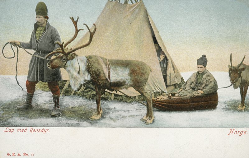 Lappilaiset poron kanssa, Norja (värikuva) tekijältä Norwegian Photographer