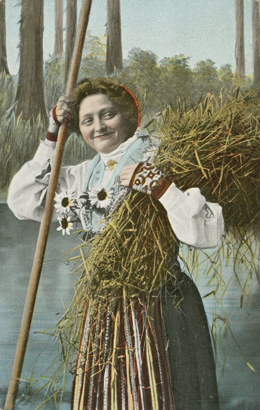 Norjalainen tyttö sadonkorjuun aikana (värikuva) tekijältä Norwegian Photographer