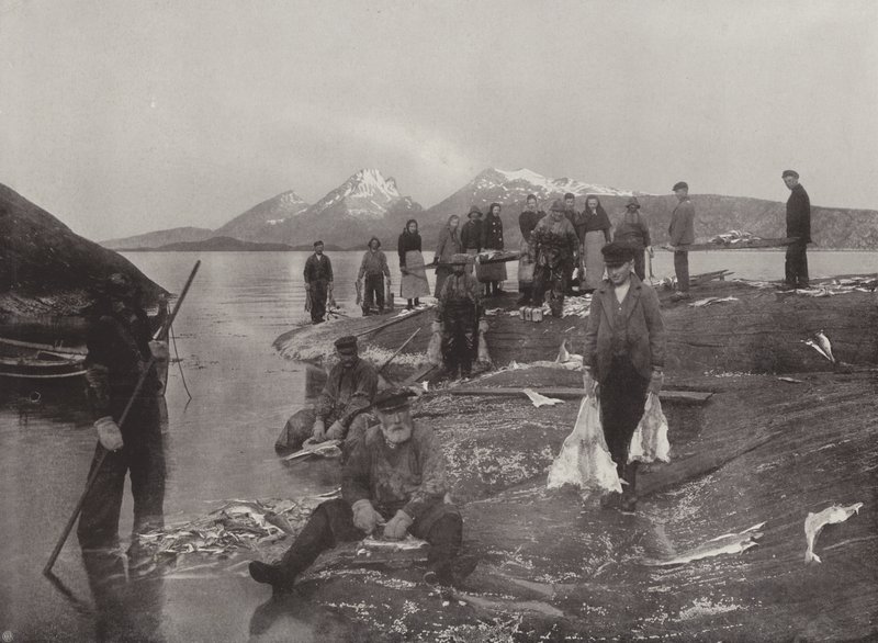 Klip-kalojen pesu tekijältä Norwegian Photographer