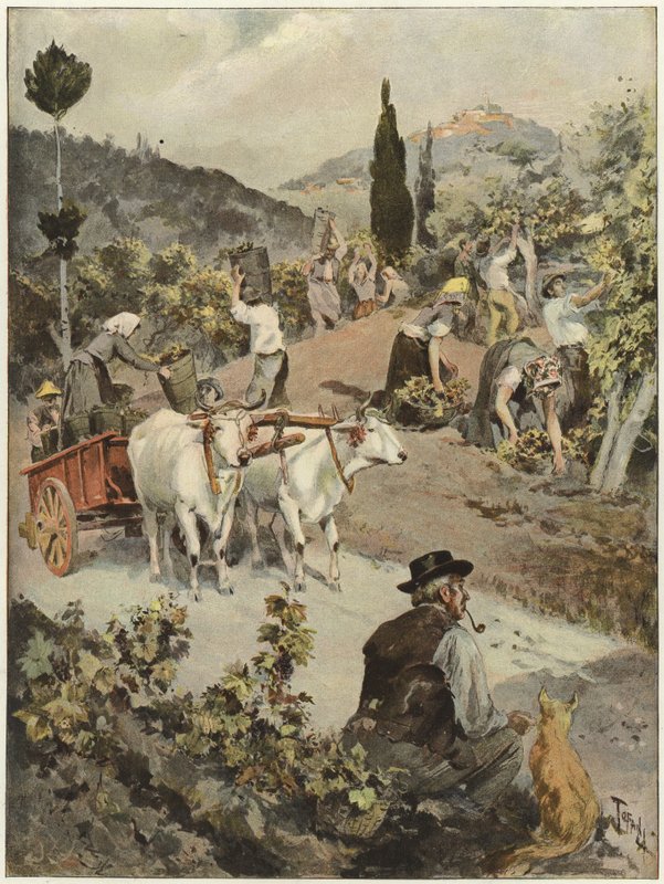 Vintage-kausi Italiassa tekijältä Oswaldo Tofani