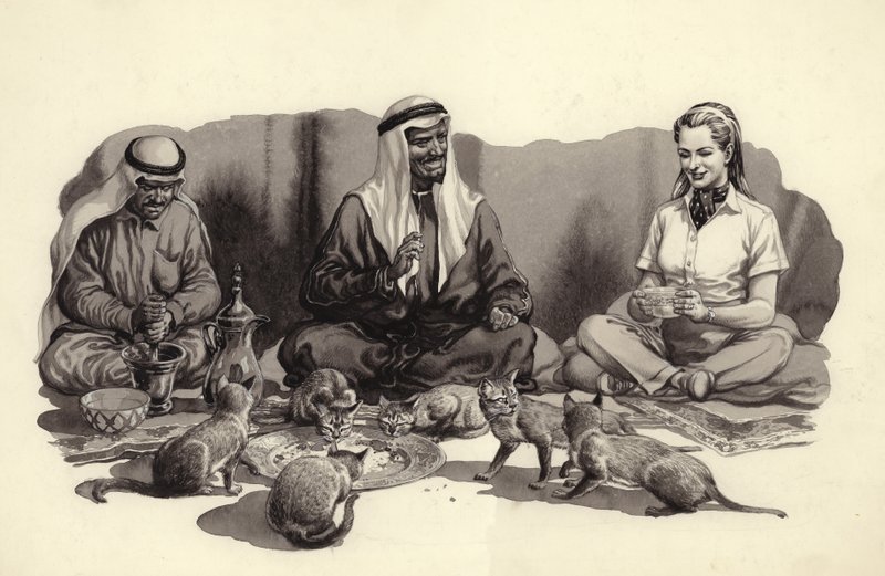 Arabimies ruokkii kissojaan (guassi paperille) tekijältä Pat (1907-95) Nicolle