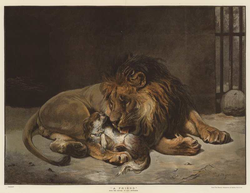 Ystävä (chromolitho) tekijältä Paul Friedrich Meyerheim