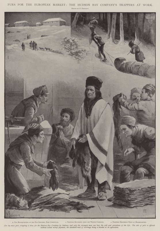 Turkikset Euroopan markkinoille, Hudson Bay Companyn Trappers at Work tekijältä Paul Frenzeny