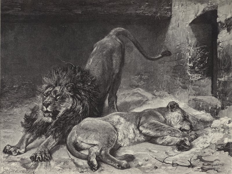 Leijonan herääminen tekijältä Paul Friedrich Meyerheim
