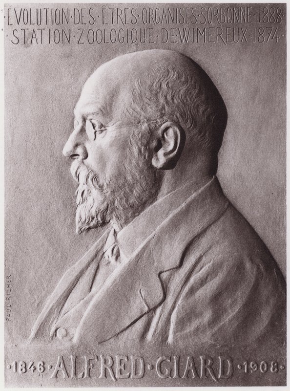 Alfred Giard (1846-1908), eläintieteilijä, muotokuva (litho) tekijältä Paul Marie Louis Pierre Richer