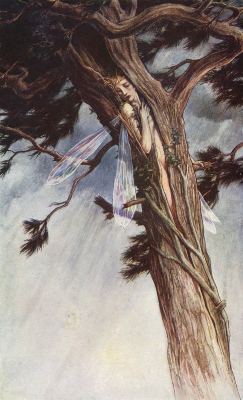 William Shakespearen Myrsky, näytös I, kohtaus 2 (värilitho) tekijältä Paul Vincent Woodroffe