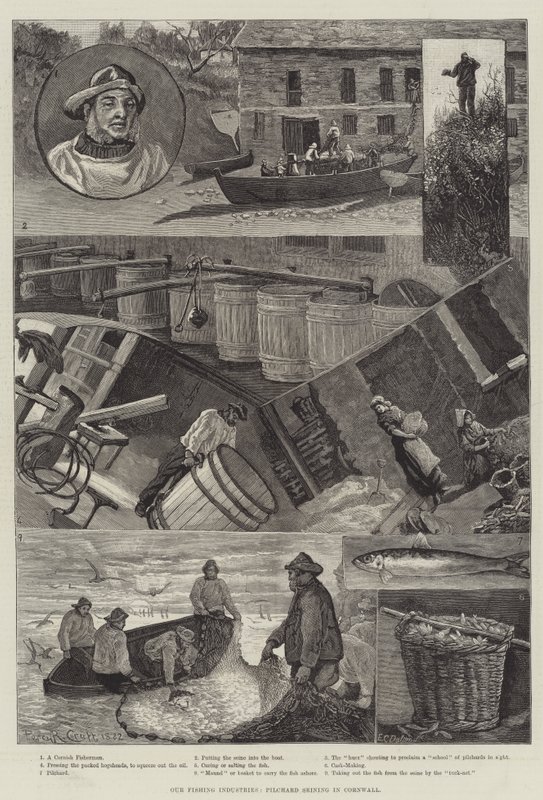 Kalastusteollisuutemme, Pilchard Seining Cornwallissa tekijältä Percy Robert Craft