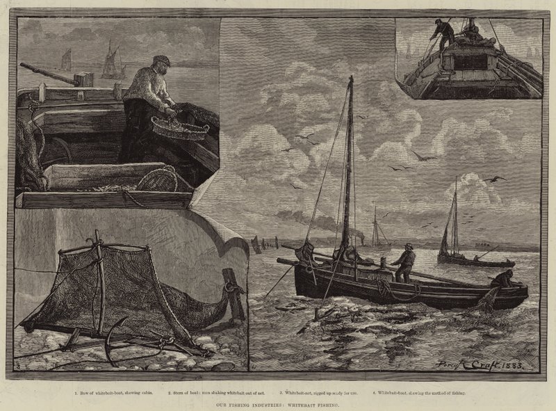 Kalastusteollisuutemme, Whitebait Fishing tekijältä Percy Robert Craft