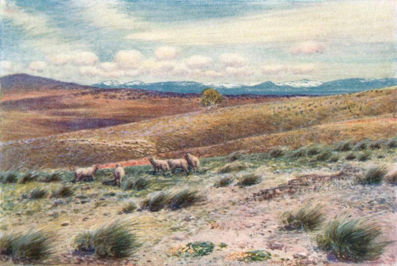 Lumiset vuoret lähellä liittovaltion pääkaupunkia (väri litho) tekijältä Percy F.S. (after) Spence