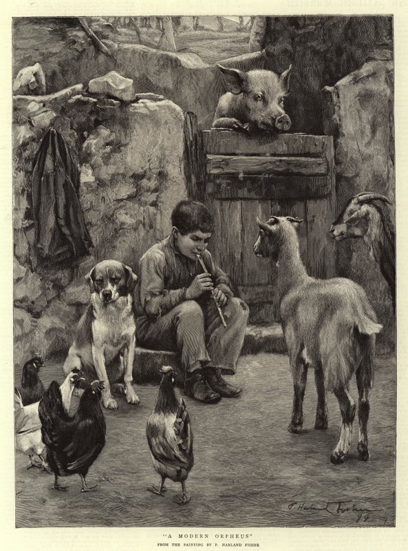 Moderni Orpheus tekijältä Percy Harland Fisher