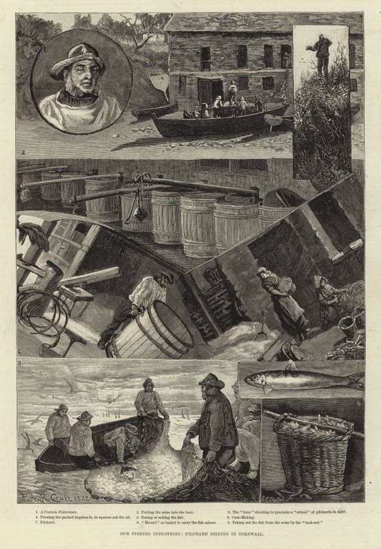 Kalastusteollisuutemme: Pilchard Seining Cornwallissa tekijältä Percy Robert Craft