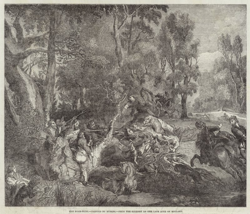 Villisian metsästys tekijältä Peter Paul Rubens