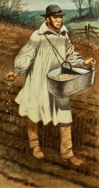 Kylvö tekijältä Peter Jackson